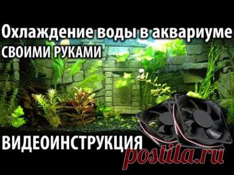 Снижаем и охлаждаем воду в аквариуме в летнюю жару