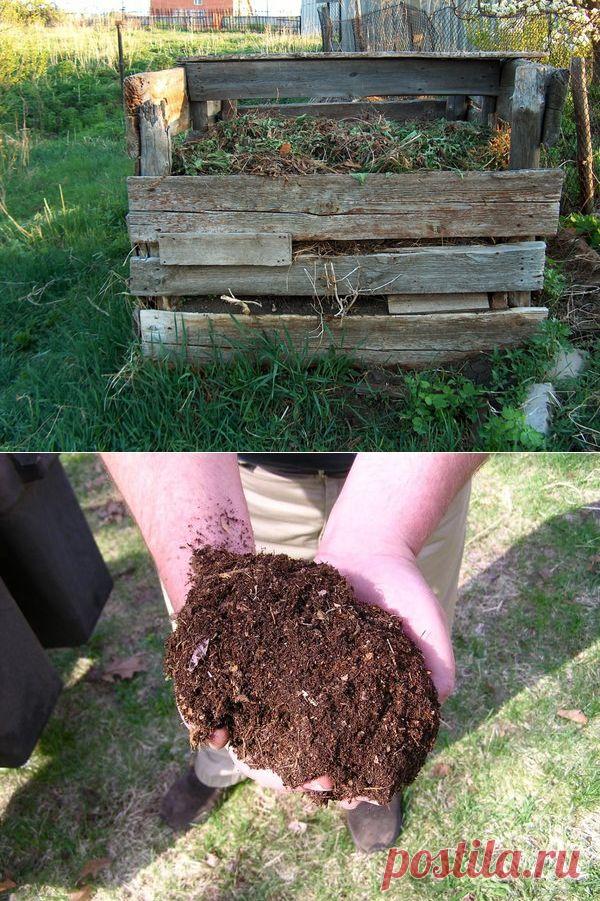 Компост: состав и как правильно приготовить компост