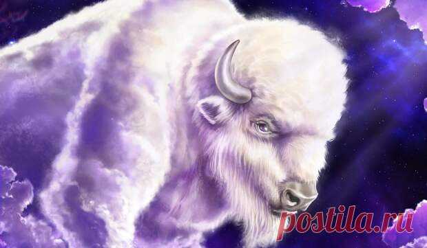 Чем 2021 год будет лучше уходящего 2020 для всех нас? - медиаплатформа МирТесен Уходящий год Металлической Крысы был непростым для всех людей на планете. Мы суетились, переживали, пытались найти спасение, выход. Такой ритм жизни удастся оставить в прошлом — Металлический Бык принесет спокойствие, умудренность и позитивные изменения. Как угодить Быку? Бык — символ крепкий