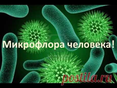 Микрофлора человека