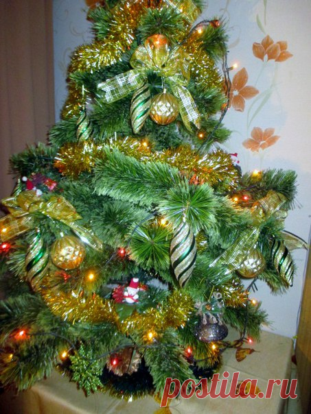 Светлана Болотова