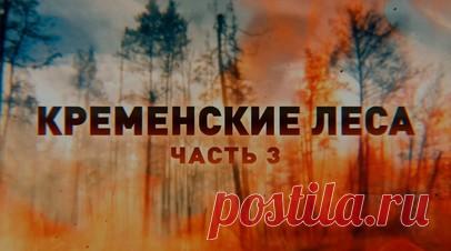 «У врага как на ладони»: как ведёт бой подразделение спецназа «Ахмат» на Краснолиманском направлении. В третьей, заключительной части сюжета о боях в кременских лесах военкор RT Влад Андрица пообщался с командиром группы подразделения спецназа «Ахмат». Боец с позывным Шрам рассказал, что лесной массив в районе Белогоровки — одна из самых сложных точек на Краснолиманском направлении. ВСУ по-прежнему держат тут господствующие высоты, и, когда наши бойцы выходят на открытую местность, они у врага…