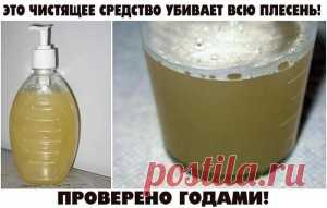 ЭТО ЧИСТЯЩЕЕ СРЕДСТВО УБИВАЕТ ВСЮ ПЛЕСЕНЬ! ПРОВЕРЕНО ГОДАМИ! | Блог сайта Muza.Name