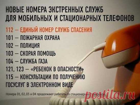 (8) Одноклассники