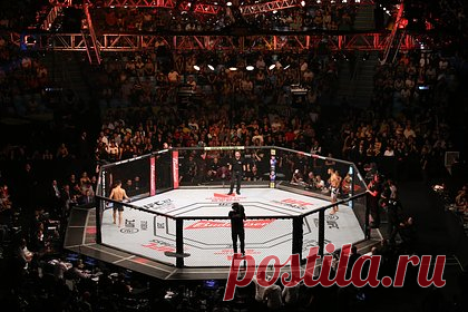 Россиянин проиграл техническим нокаутом в главном бою турнира UFC Vegas 76. Российский боец смешанного стиля (ММА) Абусупьян Магомедов проиграл американцу Шону Стрикледу в главном бою турнира UFC Vegas 76. Поединок прошел в ночь на воскресенье, 2 июля, и завершился во втором раунде. Представитель США одержал победу техническим нокаутом. Магомедов потерпел первое поражение в UFC.