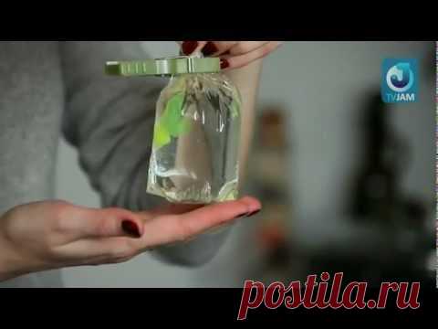 Видео мастер-класс по мыловарению: Мыло с рыбкой