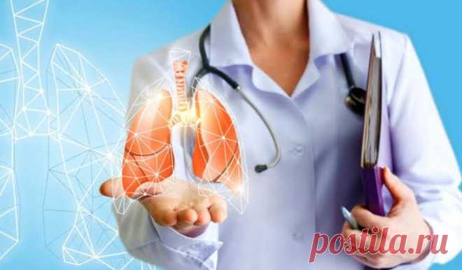 Заболевания органов дыхания: полный обзор, классификация и профилактика | PortalBio