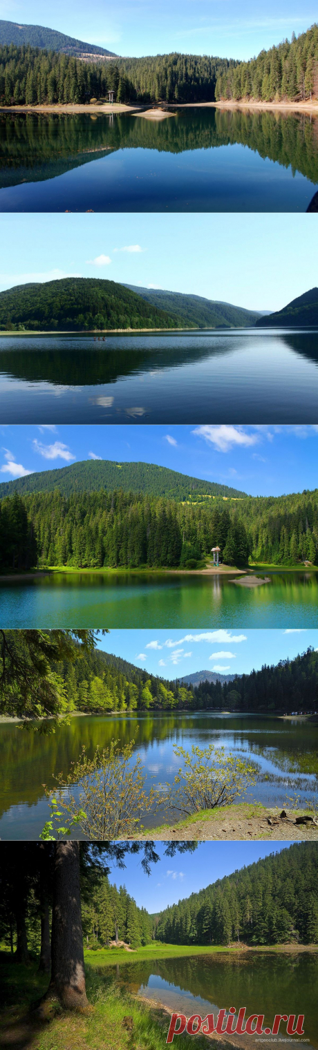Карпатская природа: озеро Синевир