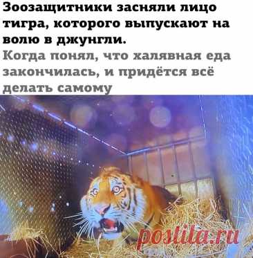 Выпуск №6445 - выпуск анекдотов сайта вокруг смеха