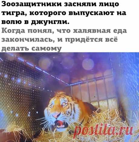 Выпуск №6445 - выпуск анекдотов сайта вокруг смеха