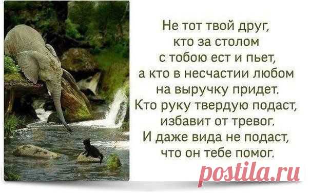 Истина.... | Все о наших питомцах