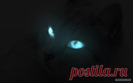 Ева Орлова - Сочи, Краснодарский край, Россия на Мой Мир@Mail.ru