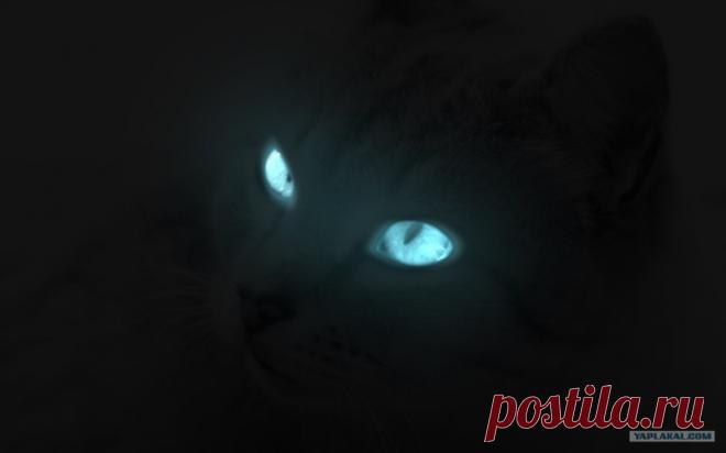 Ева Орлова - Сочи, Краснодарский край, Россия на Мой Мир@Mail.ru