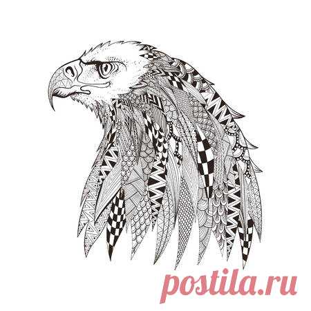 Zentangle stylized head of eagle. Hand Drawn doodle vector illustration isolated on white background. Sketch for tattoo or indian makhenda design. Can be used for postcard, t-shirt, bag or poster. 123RF - Миллионы стоковых фото, векторов, видео и музыки для Ваших проектов.