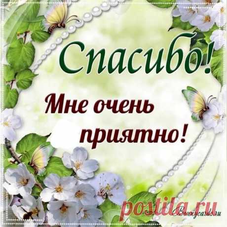 Огромное спасибо за теплые слова.