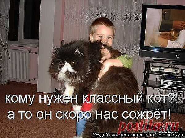 Как я вам?