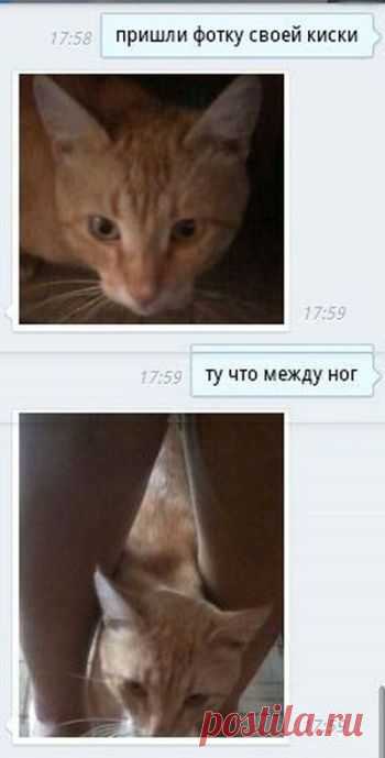 Подборка прикольных фото №1146 (98 фото)