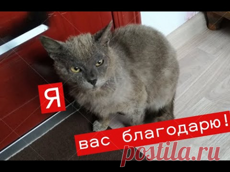 Все успели Новости от Тимоши Заречье Своими руками ЕленаСитникова