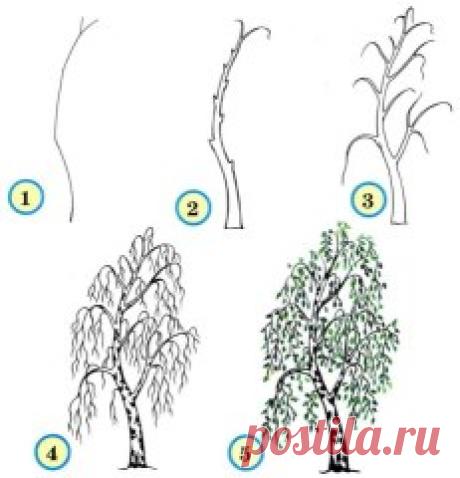 Одноклассники