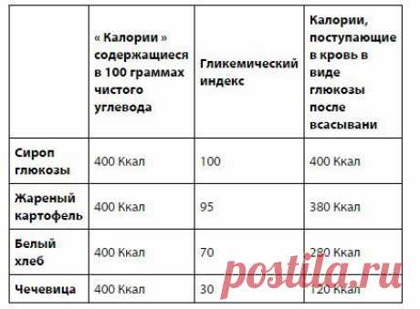 О процессе переваривания и всасывания пищи / Спорт Сильных!