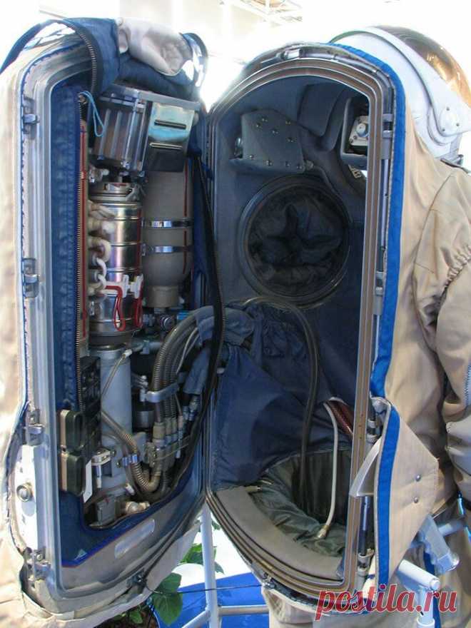 Удивительные фотографии вещей, которые вы вряд ли увидите вживую #2 | Любопытный канал | Яндекс Дзен