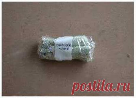 Сохраняем клубни георгинов в пищевой плёнке.