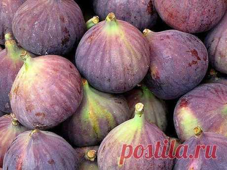 город ХУДЖАНД ленинабад ПРИСОЕДИНЯЙСЯ
30 лет, Таджикистан, Худжанд