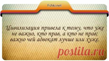 20 цитат в юморе про юристов и законы