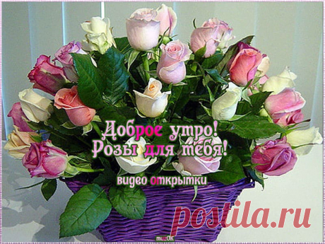Доброе утро. Розы для тебя. Видео. * МУЗыкальный подарОК Доброе утро, любимая моя. Эти розы я тебе хочу подарить. Красивые видео открытки с пожеланиями доброго утра. Скачать бесплатно.
