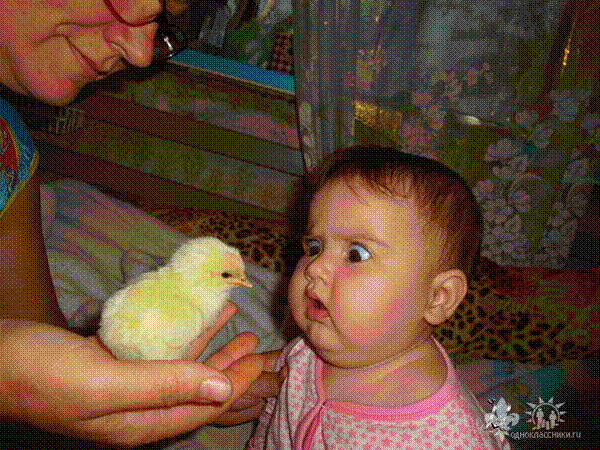 ПЕРВАЯ ВСТРЕЧА
