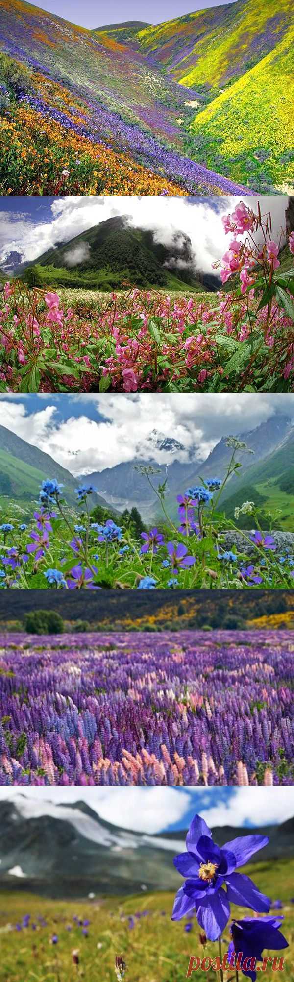 Рай на Земле: Долина Цветов / Туристический спутник