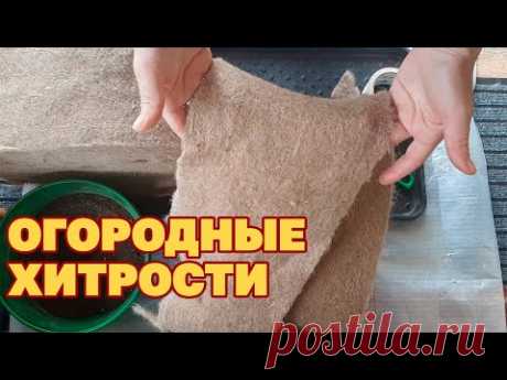 ГЕНИАЛЬНАЯ ИДЕЯ ДЛЯ РАССАДЫ ЗАМЕНИТ КОКОСОВОЕ ВОЛОКНО  И МНОГОЕ ДРУГОЕ
