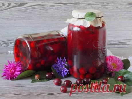 Компот из крыжовника на зиму - 15 вкусных рецептов пошагово с фото