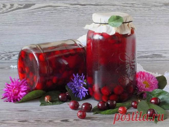 Компот из крыжовника на зиму - 15 вкусных рецептов пошагово с фото