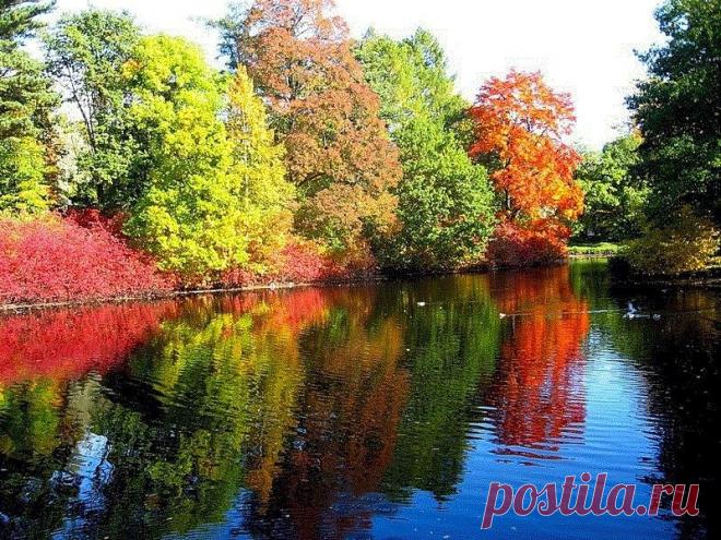 Одноклассники