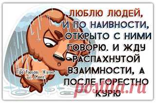 Про Любовь, Жизнь и Смех!