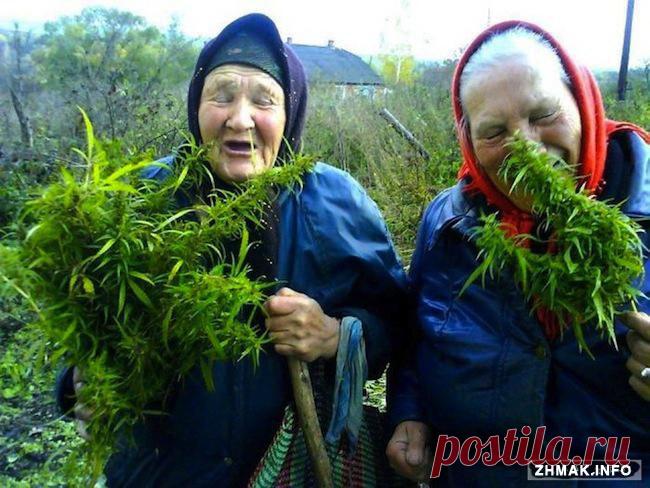 Плейкаст «У БАБУЛЬ НИКОГДА НЕ СТАРЕЕТ ДУША!!!»