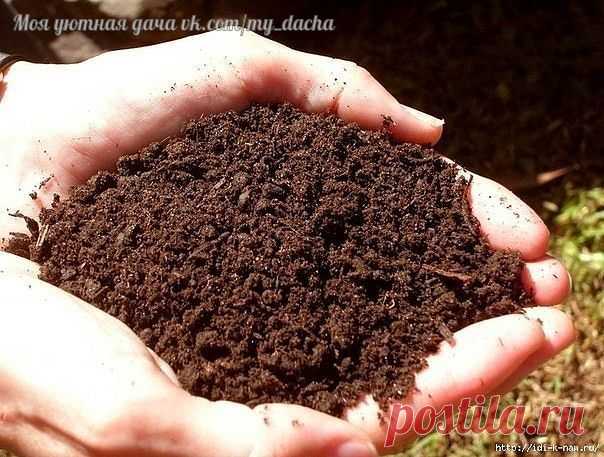 Необычный способ определения кислотности почвы