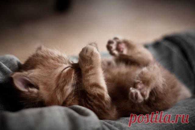 (27) Facebook