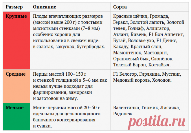 Перец в аптечке // ОПТИМИСТ