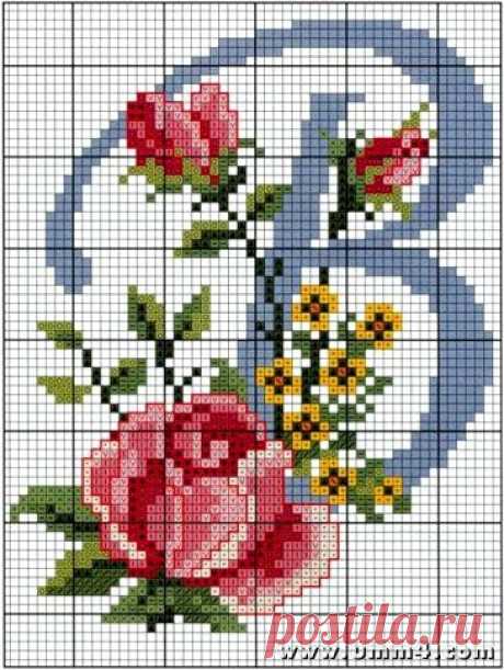 (242) Pinterest
