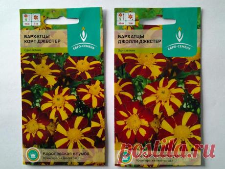 Остап Бендер знал 400 сравнительно честных способов отъема денег у населения. Одно из них продажа пакетиков семян для садоводов-любителей... Каждый сезон мы скупаем эти красивые пакетики с мизерным кол-вом семян, уже буквально поштучно - бизнес круче продажи наркотиков. Веселая игра найти отличия