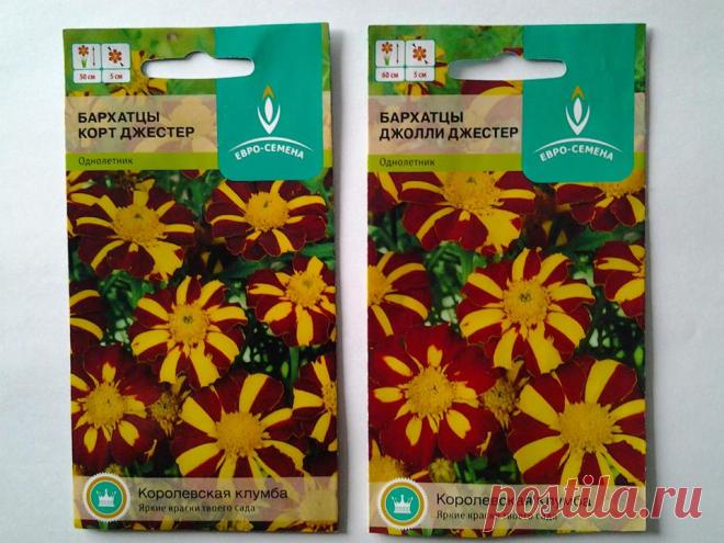 Остап Бендер знал 400 сравнительно честных способов отъема денег у населения. Одно из них продажа пакетиков семян для садоводов-любителей... Каждый сезон мы скупаем эти красивые пакетики с мизерным кол-вом семян, уже буквально поштучно - бизнес круче продажи наркотиков. Веселая игра найти отличия