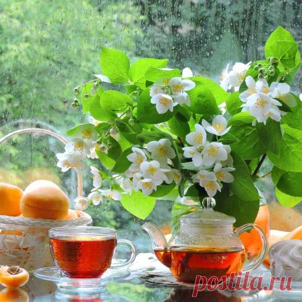 С добрым утром! С днём отличным - Светлым, ясным, мелодичным. С солнцем ярким и приятным, С свежим чаем ароматным!