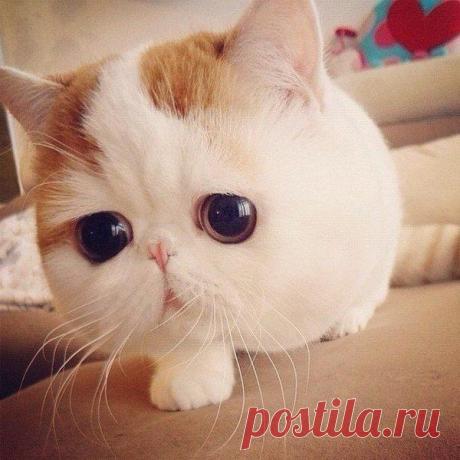 Мой Мир@Mail.Ru