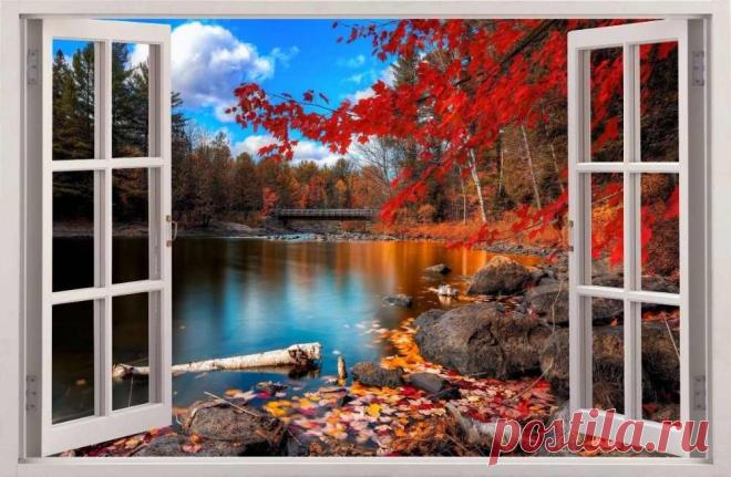 Осень мимо меня прошуршала оранжевой юбкой...