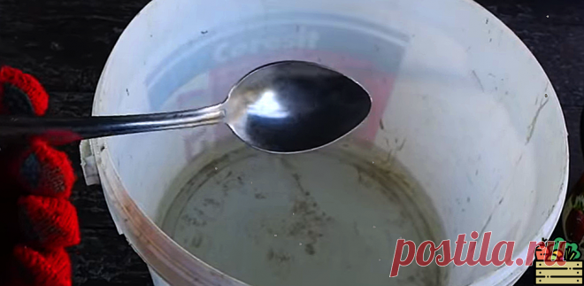 Делюсь рецептом 