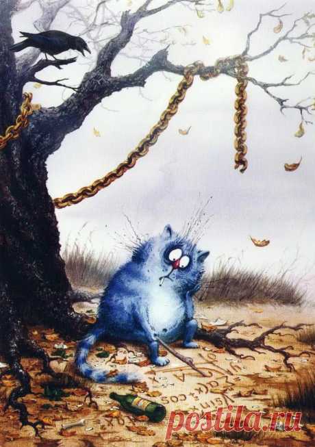 Синие коты - 61 фото - картинки: смотреть онлайн