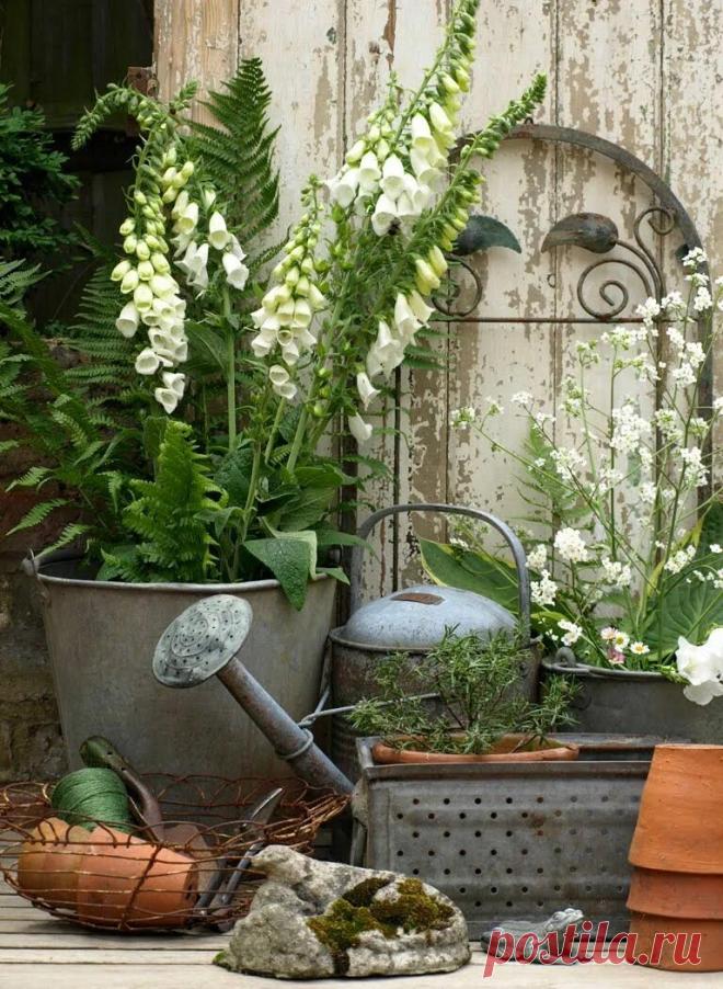 Винтажный огородик: 1 тыс изображений найдено в Яндекс Картинках