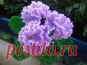 (58) Одноклассники